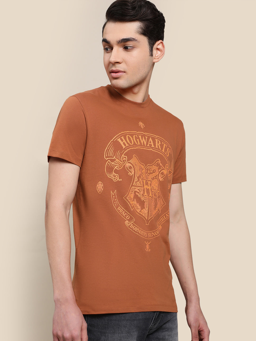 Harry Potter Brown Tshirt For Men